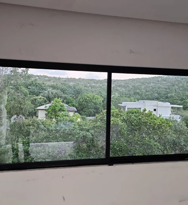 Janela de perfil preto com vista para as árvores, do portfólio Audium